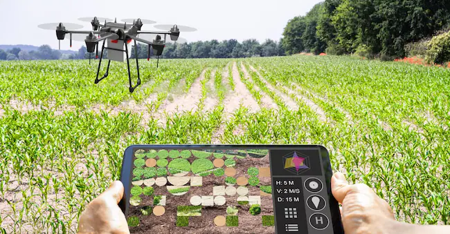 screenshot 2024-11-12 at 12-28-49 agritech unalleanza necessaria con lintelligenza collettiva - il sole 24 ore