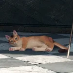 Xenoblade-Chronicles-X-Definitive-Edition-animali-domestici-gatto.webp