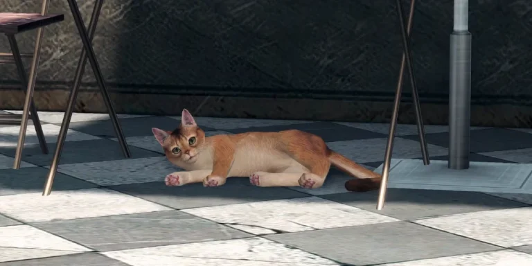 Xenoblade-Chronicles-X-Definitive-Edition-animali-domestici-gatto.webp